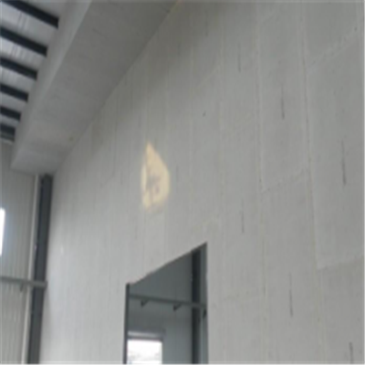 洮北宁波ALC板|EPS加气板隔墙与混凝土整浇联接的实验研讨